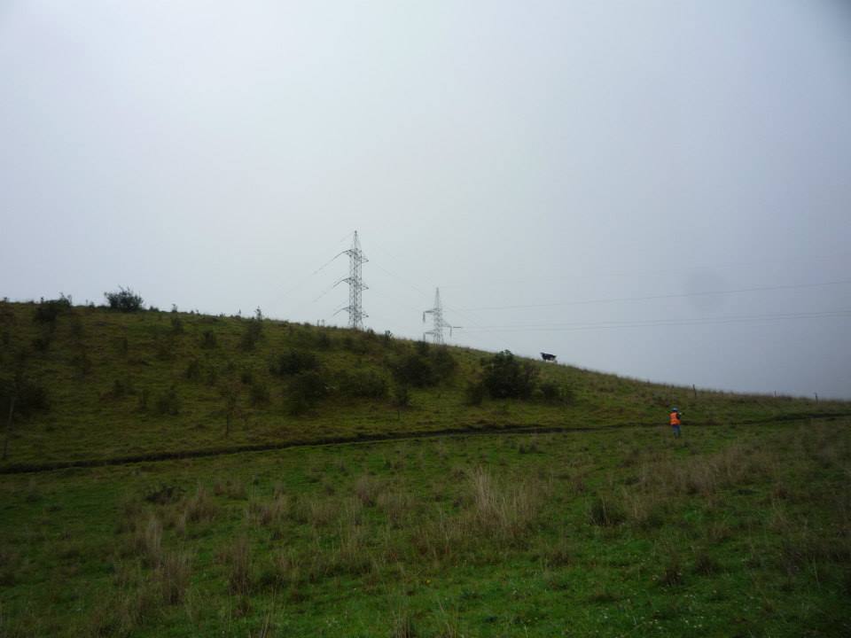 1238043_655801221105840_989302855_n